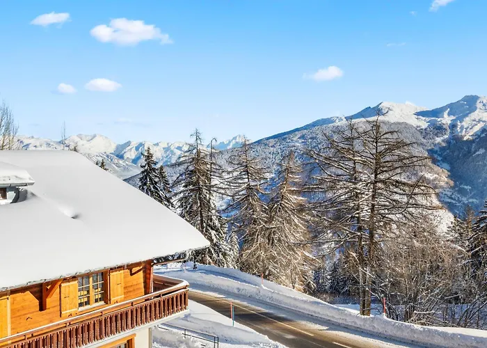 Rénové Avec Vue Sur Les Montagnes Vex